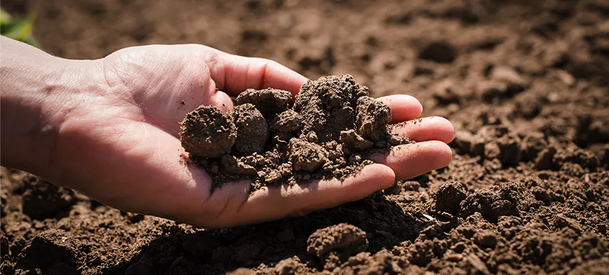 Choosing the Best Foundation for Soil Types